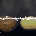 راهنمای خرید پوست گیر بخار