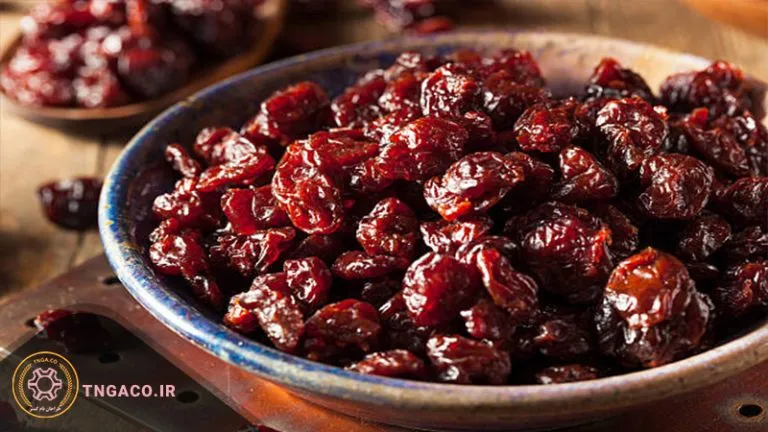 خط تولید و فرآوری آلبالو خشک