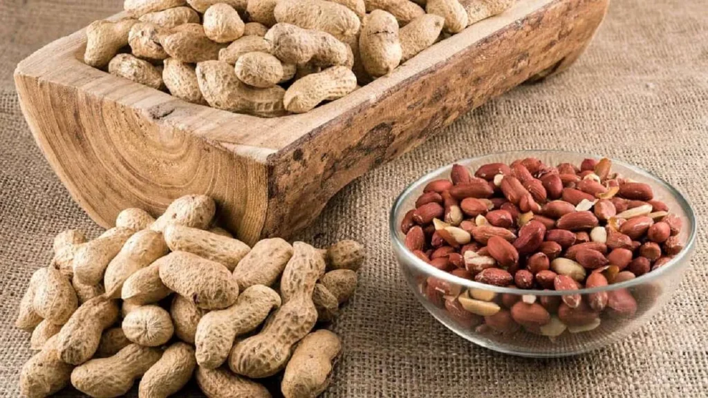 خط رستر بادام زمینی و انواع آجیل و خشکبار