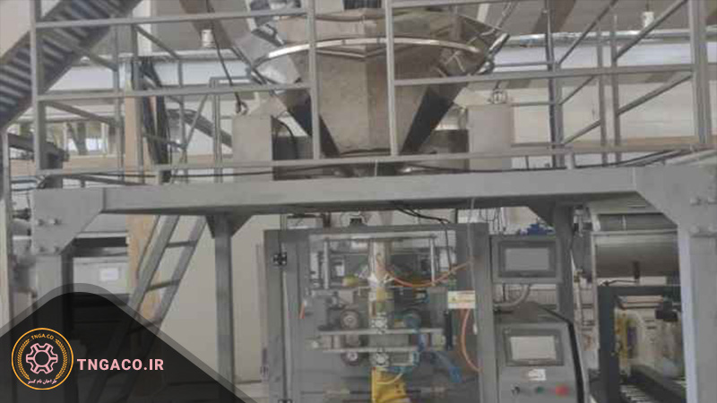 طعم پاش چیپس